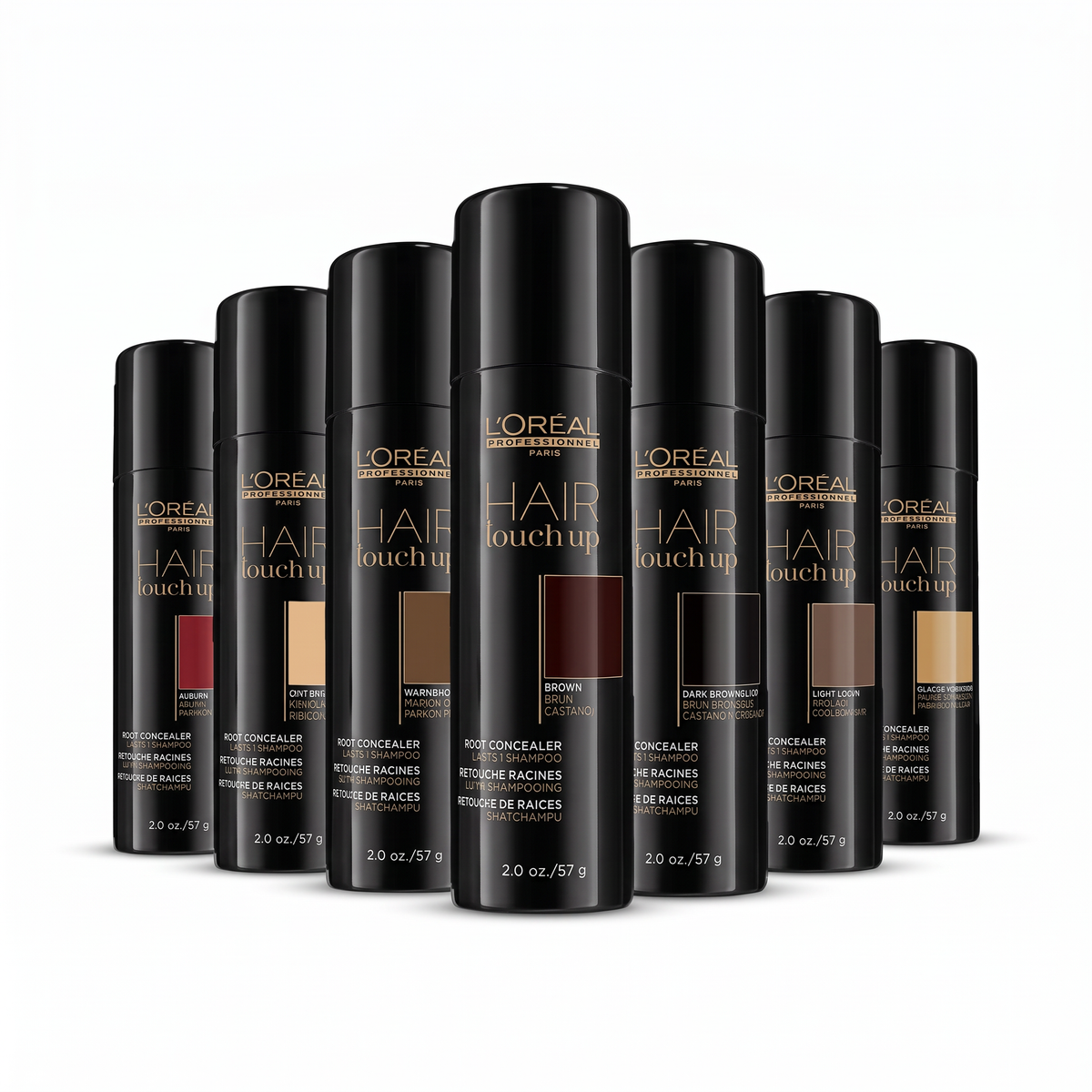 Loreal Professionnel Hair Touch Up 2 oz